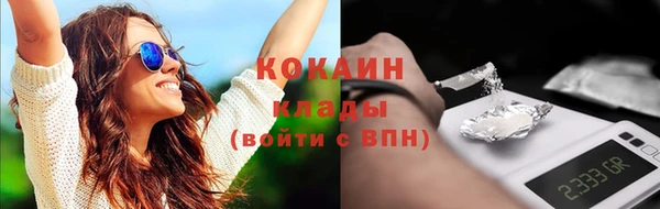 СК Гусев
