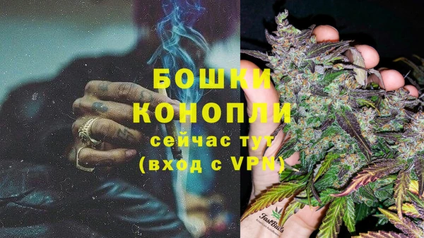 СК Гусев